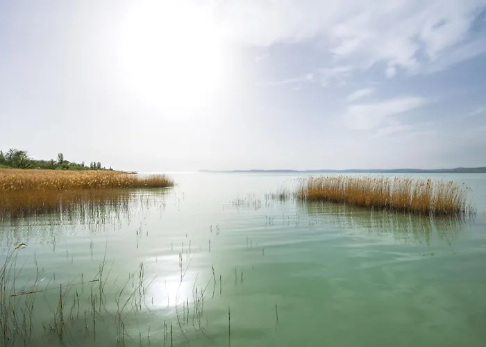 Tramonto By Interhome Vilă Balatonszarszo